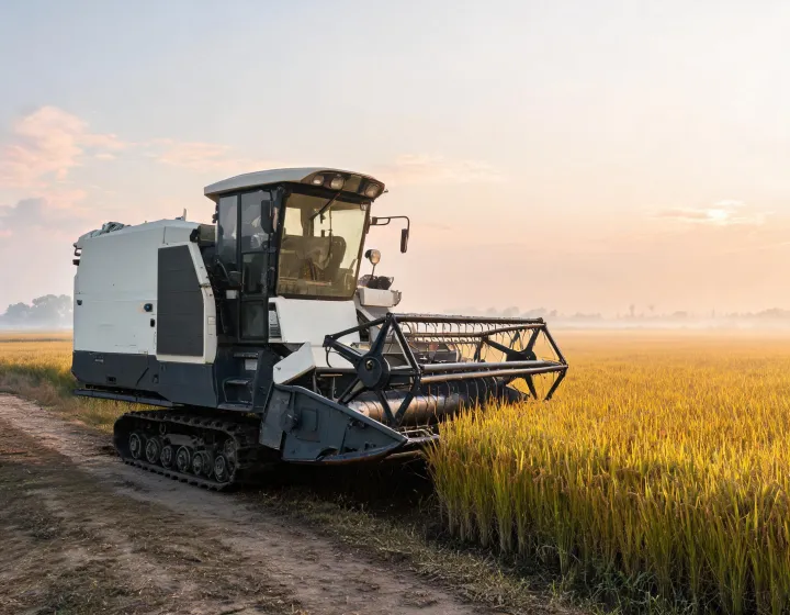 Tracked rice combine beside a mature paddy field
